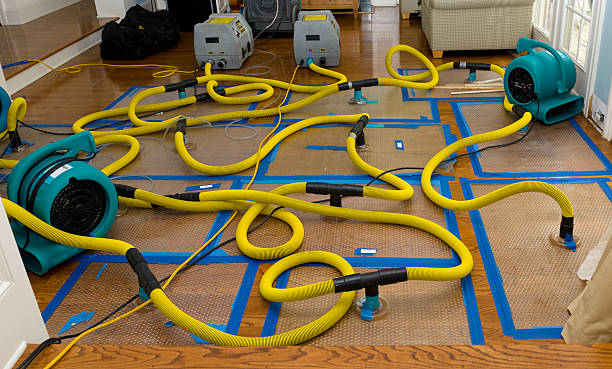 Professional Water Extraction technician working in Mount Blanchard, OH