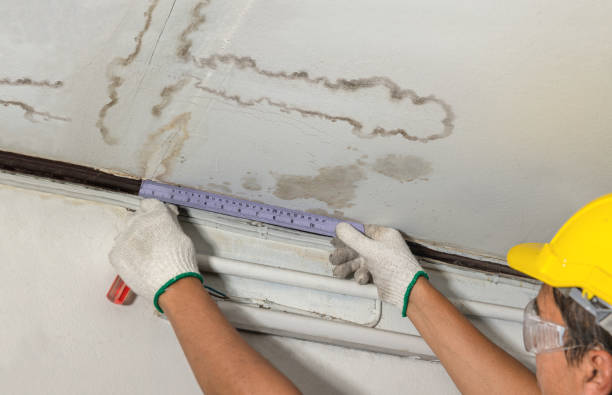 Affordable Water Damage Repair solutions in Mount Blanchard, OH